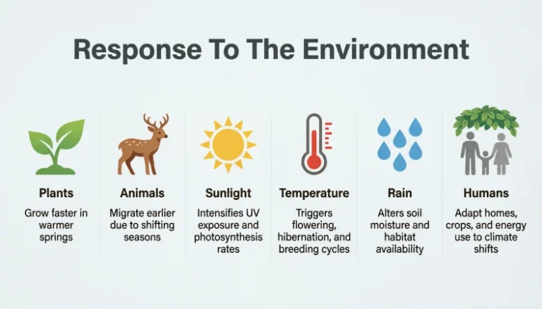 response to the environment