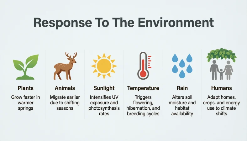 response to the environment